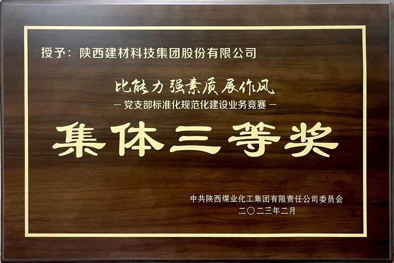 陜西建材科技公司榮獲“黨支部標(biāo)準(zhǔn)化規(guī)范化建設(shè)”類競賽三等獎及“優(yōu)秀組織獎”