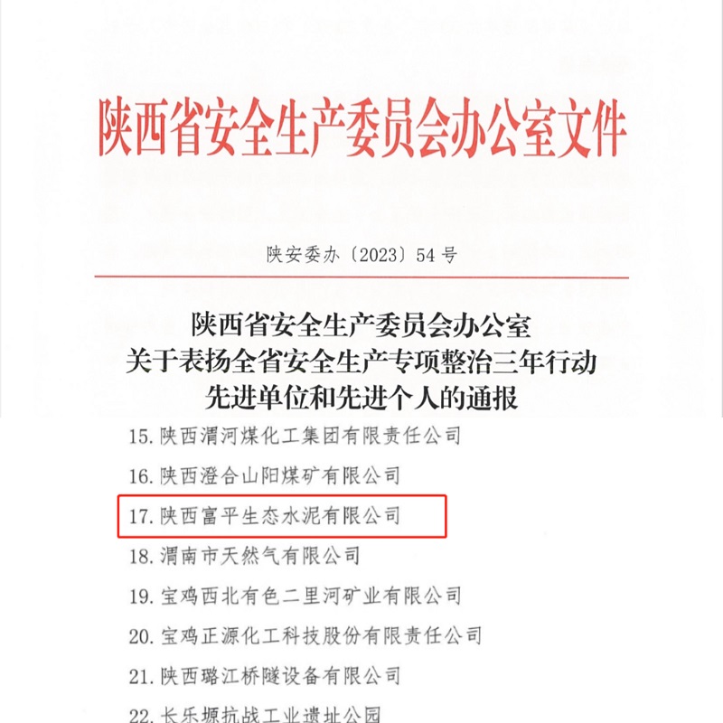 喜報！富平公司榮獲“陜西省安全生產(chǎn)專項整治三年行動先進單位”稱號！